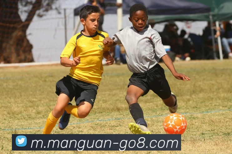 App Interface Preview
